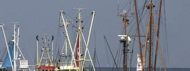 Eu Erlaubt Weniger Fischfang In Der Nordsee