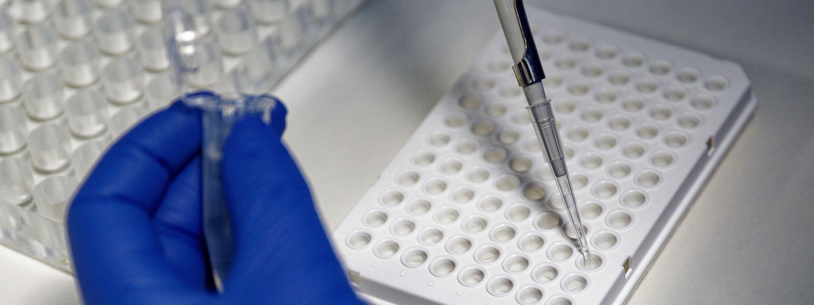 Pour le pétitionnaire Celestino Fecchi, les tests PCR ne doivent pas être payants, «même en l'absence de symptômes covid et sans ordonnance médicale».