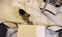 Wintereinbruch in Echternach.