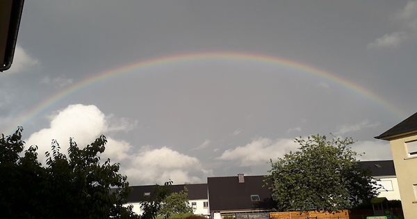 mywort Konscht an der Natuer