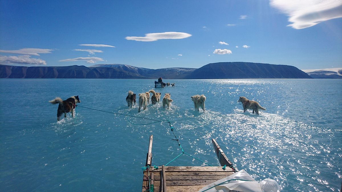 Der Klimawandel ist in Grönland deutlich zu spüren. Von 1992 bis 2018 schmolzen dort laut der Fachzeitschrift "Nature" etwa 3800 Milliarden Tonnen Eis.
