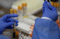 A health worker sorts blood samples for Covid-19 vaccination study at the Center for Pediatric Infectology Studies (CEIP) where the pharmaceutical company Janssen of Johnson & Johnson on November 26 is developing the Phase 3 study of the vaccine in Cali, Colombia.  2020 - The World Health Organization (WHO) has identified 48 "candidate vaccines" in the stage of clinical trials in humans by mid-November, but only 11 in the most advanced stage 3 stage.  The WHO has identified another 164 vaccine projects that are still in the preclinical phase of development.  (Photo by Luis ROBAYO / AFP)