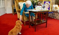 (FILES) In this file picture released in London on February 4, 2022, and taken last month, shows Britain's Queen Elizabeth II stroking Candy, her corgi dog, as she looks at a display of memorabilia from her Golden and Platinum Jubilees, in the Oak Room at Windsor Castle, west of London. - From Susan, received for her 18th birthday, to Fergus and Muick, acquired shortly before the death of her husband Philip, Elizabeth II owned around thirty corgis, small dogs that remain inseparable from her image. Elizabeth II, who died on September 8, 2022 at the age of 96, was a one-colour outfit, a pair of gloves, a black handbag... and a corgi trotting by her side. (Photo by Steve Parsons / POOL / AFP)