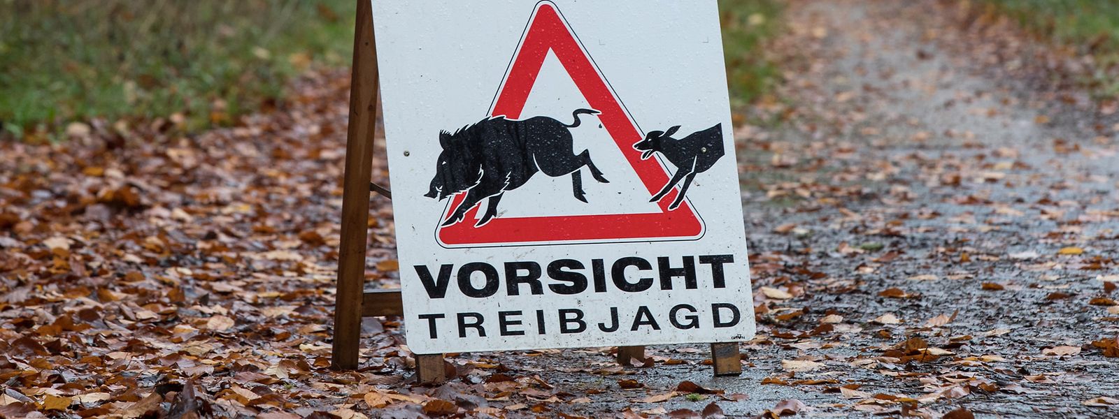 Das Parlament wird sich mit dem Thema Treibjagd befassen müssen.