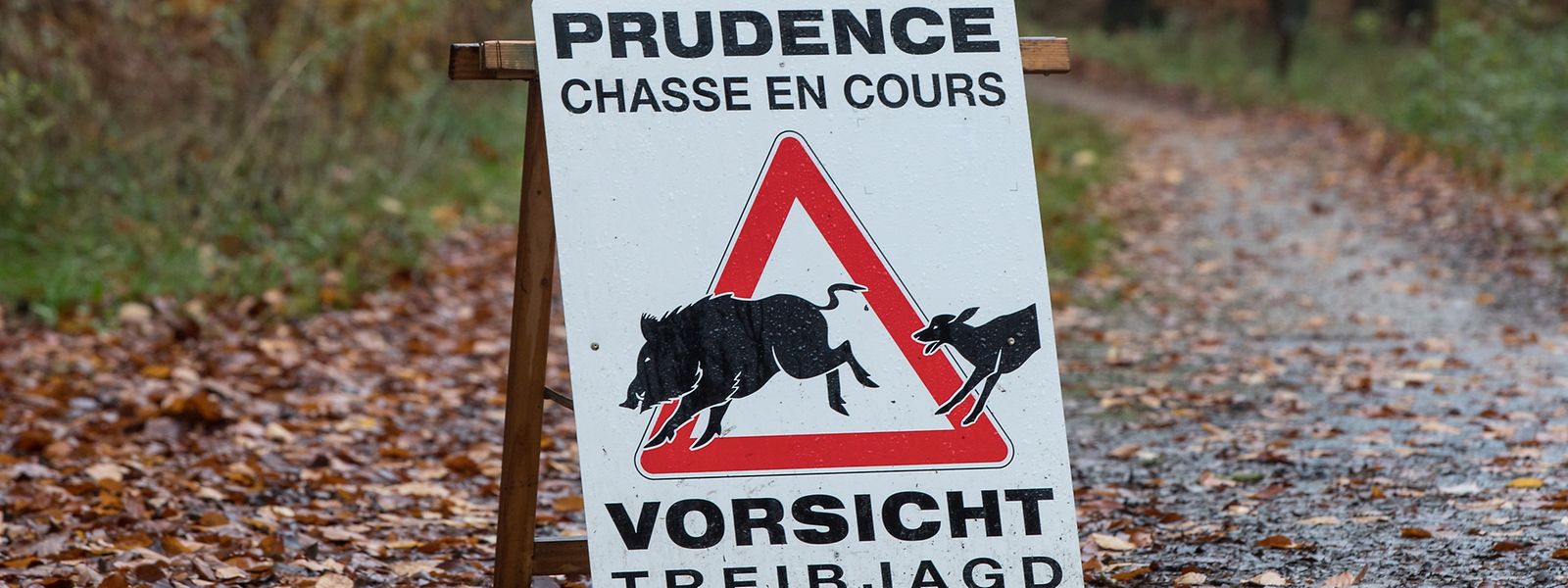 Das Parlament wird sich wahrscheinlich Anfang Mai mit dem Verbot der Treibjagd befassen.  