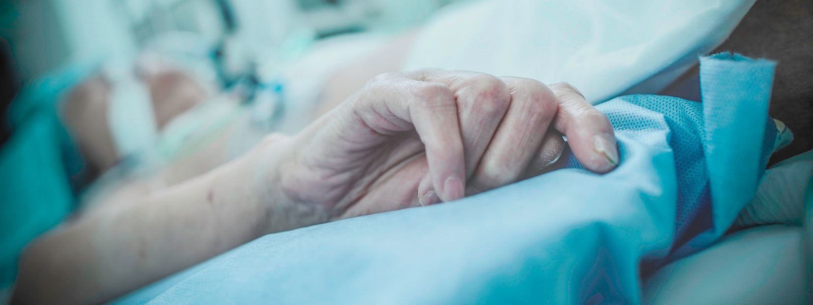 In den Jahren 2019 bis 2020 hat die nationale Aufsichts- und Bewertungskommission 41 Fälle von Euthanasie registriert.
