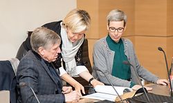 IPO , Chamber , Reunion Conjointe , Commission de la Justice et Commission de la Securite Interieure , Rapport IGP , vlnr . , Bausch , Stirn , Tanson Foto: Guy Jallay/Luxemburger Wort