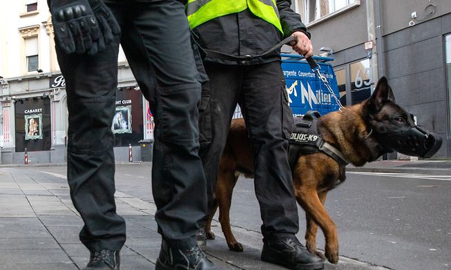 Private security in Gare quarter