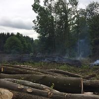 Feuerwehreinsatz: Waldbrand in Simmern - Luxemburger Wort