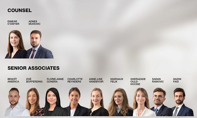 Two counsels and nine senior associates have been appointed at a Luxembourg-based international law office