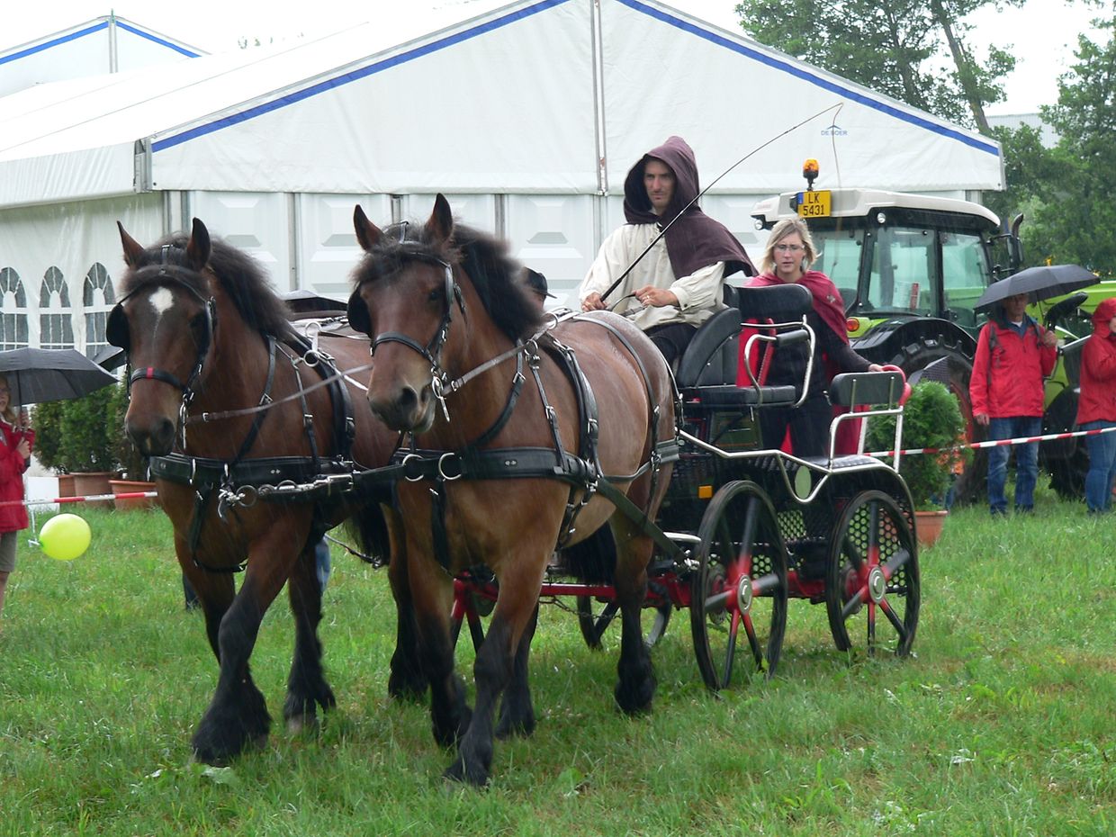 Die "Foire agricole" wusste den Regen am Samstag bereits mit einem abwechslungsreichen Show-Programm zur Nebensache werden zu lassen.