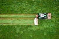 Landwirtschaft - Photo : Pierre Matgé