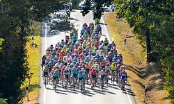 Das Fahrerfeld zwischen Wasserbillig und Mompach - Skoda Tour de Luxembourg 2020 - 3.Etappe Rosport/Schifflange 164,3 Km - Foto: Serge Waldbillig