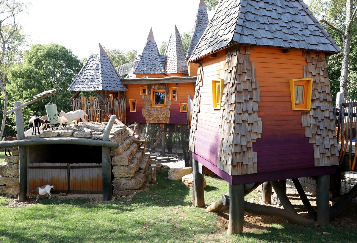 Bamhausen or tree houses are available to rent in the Esch animal park 