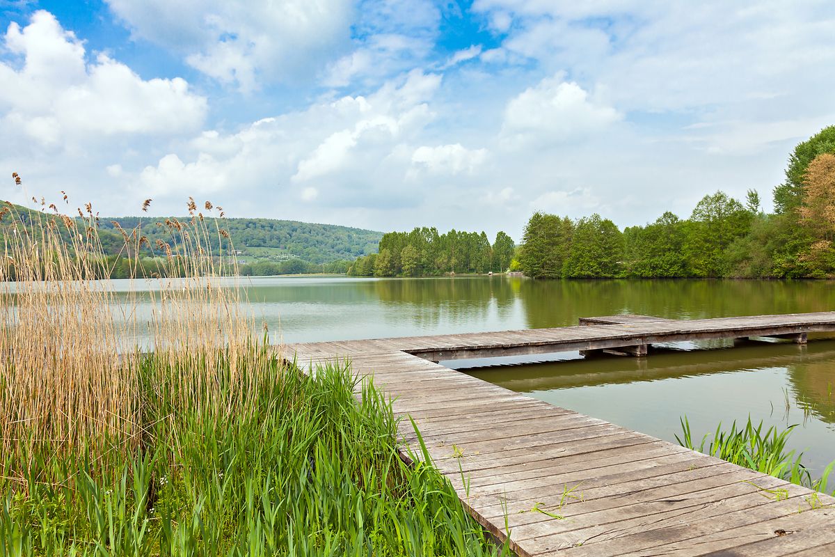 Fingers crossed you'll be able to jump into the waters at Lake Echternach later this summer 