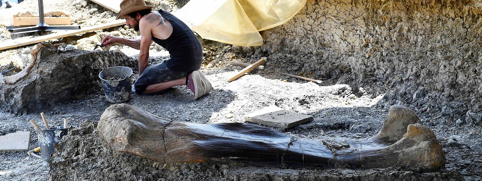 Ein Paläontologe des nationalen naturhistorischen Museums in Paris gräbt einen Beckenknochen aus.