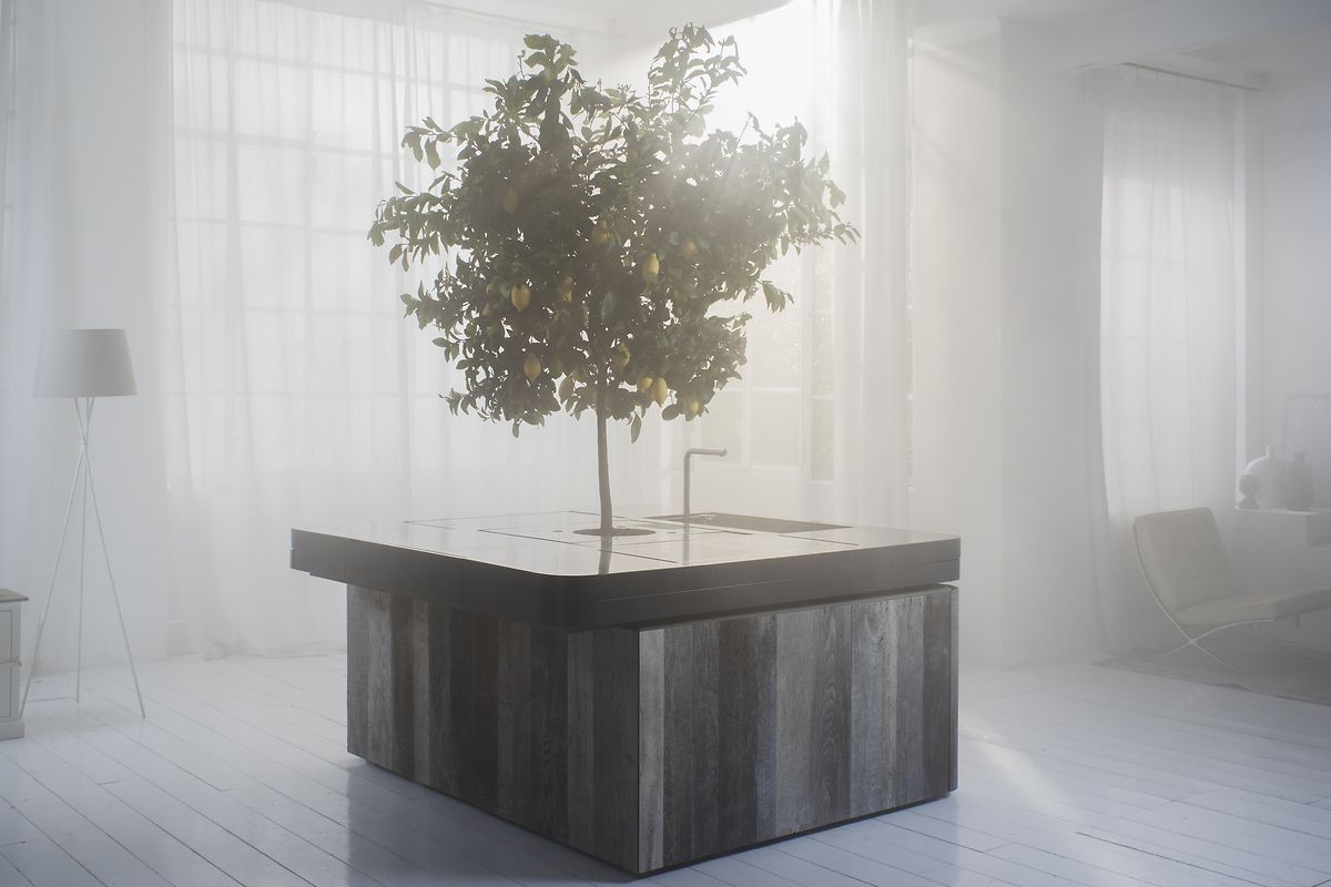 Abgestimmtes Äußeres für Küche und Wohnbereich