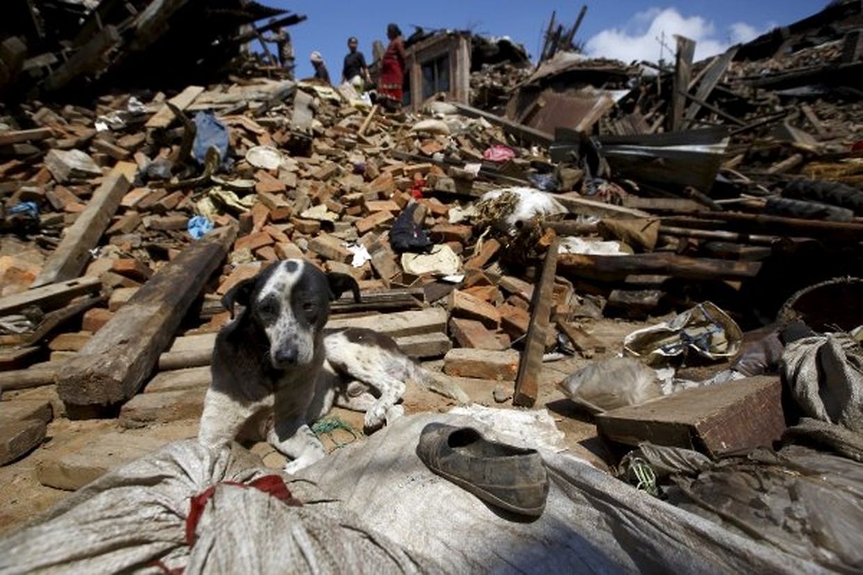 Die Zerstörung im Katastrophengebiet ist enorm.