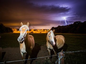 Fotogaleria: Tempestade fez estragos