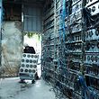 This file photo taken on April 6, 2021 shows a local resident working part time at a cryptocurrency farm in Dujiangyan in China's southwestern Sichuan province