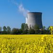 (FILES) This file photo taken on April 20, 2015 shows cooling towers of the nuclear power plant in Saint-Laurent-Nouan, central France. - The French Nuclear Safety Authority (ASN) on February 25, 2021 paved the way for the continued life of France's oldest reactors, 40 to 50 years old, enjoining French electricity company EDF to carry out work to improve their safety. (Photo by GUILLAUME SOUVANT / AFP)