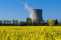 La question du nucléaire en cette période de crise énergétique porte préjudice aux Verts belges.
