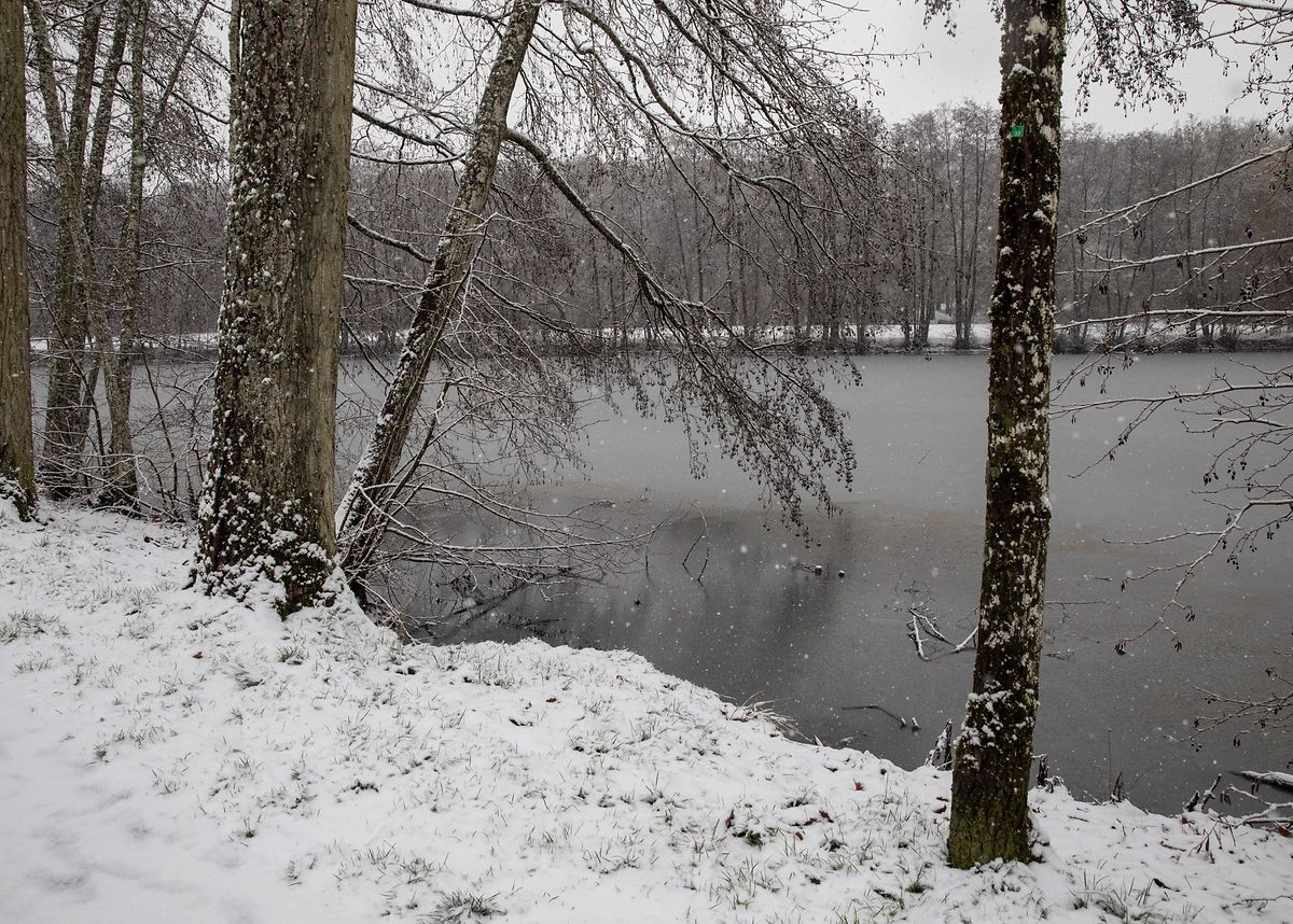 Snow and a frozen pond in Kockelscheuer Photo: Guy Jallay