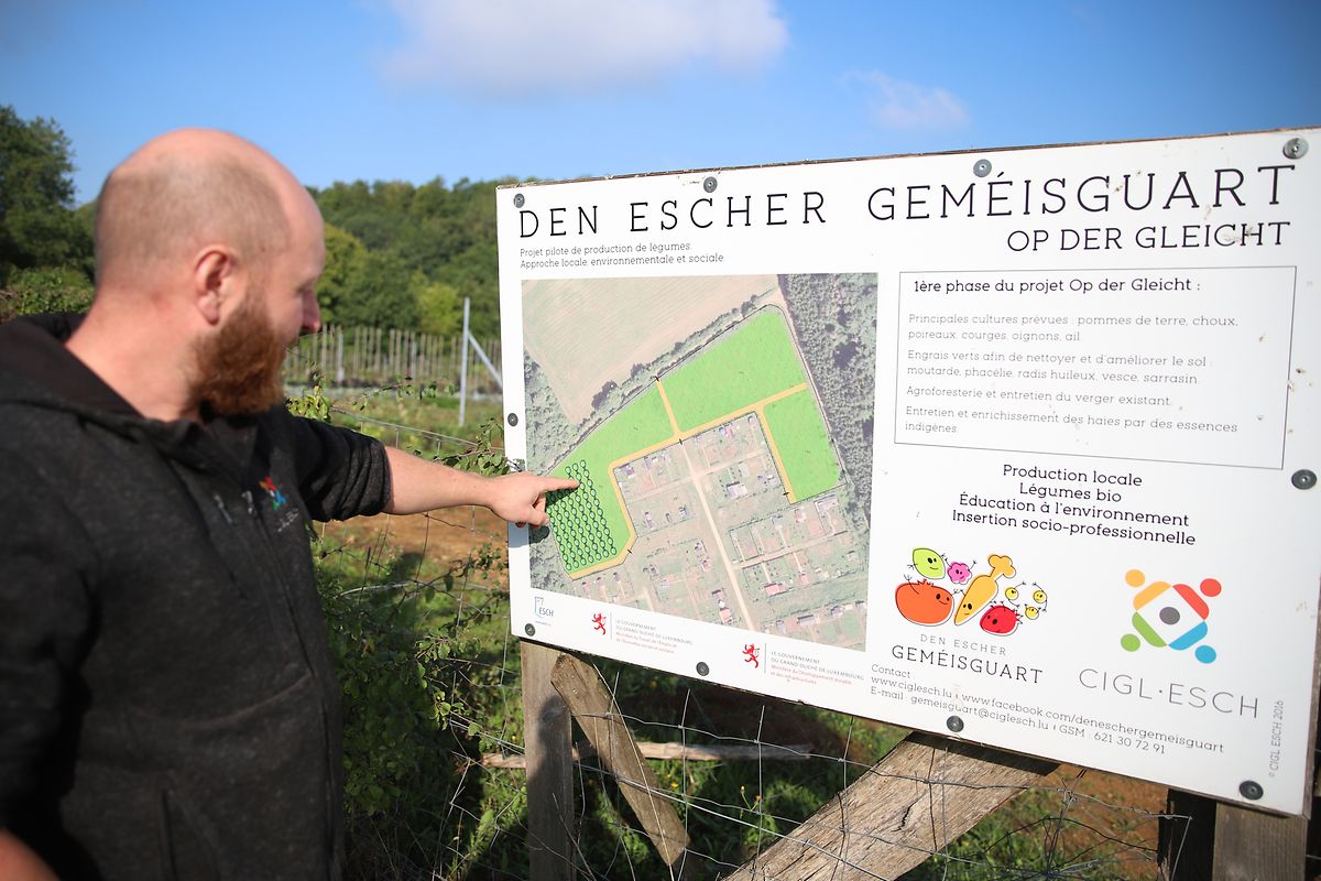 Sur le champ d'un hectare d'Op der Gleicht, à quelques minutes en voiture de la serre, des légumes supplémentaires sont cultivés depuis 2018 ainsi que des fruits, comme des fraises.