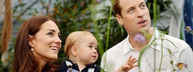 Kate und William freuen sich auf den Nachwuchs. Prinz George findet derweil Schmetterlinge faszinierend.