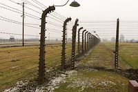 Auschwitz Oswiciem ©Christophe Olinger 17-20 janvier 2020