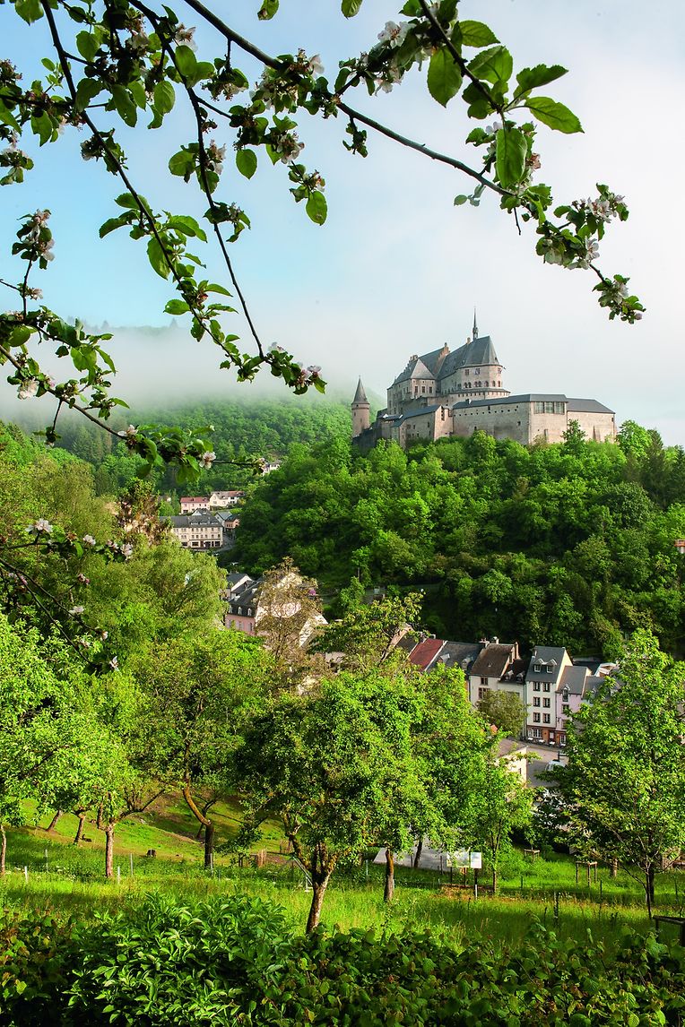 Schloss Vianden
