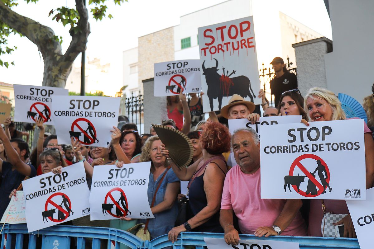 Demonstranten protestieren gegen die Wiederaufnahme von Stierkämpfen auf Mallorca. Die Rückkehr des Stierkampfes auf die Insel war vom Verfassungsgericht vor einigen Monaten ermöglicht worden. 