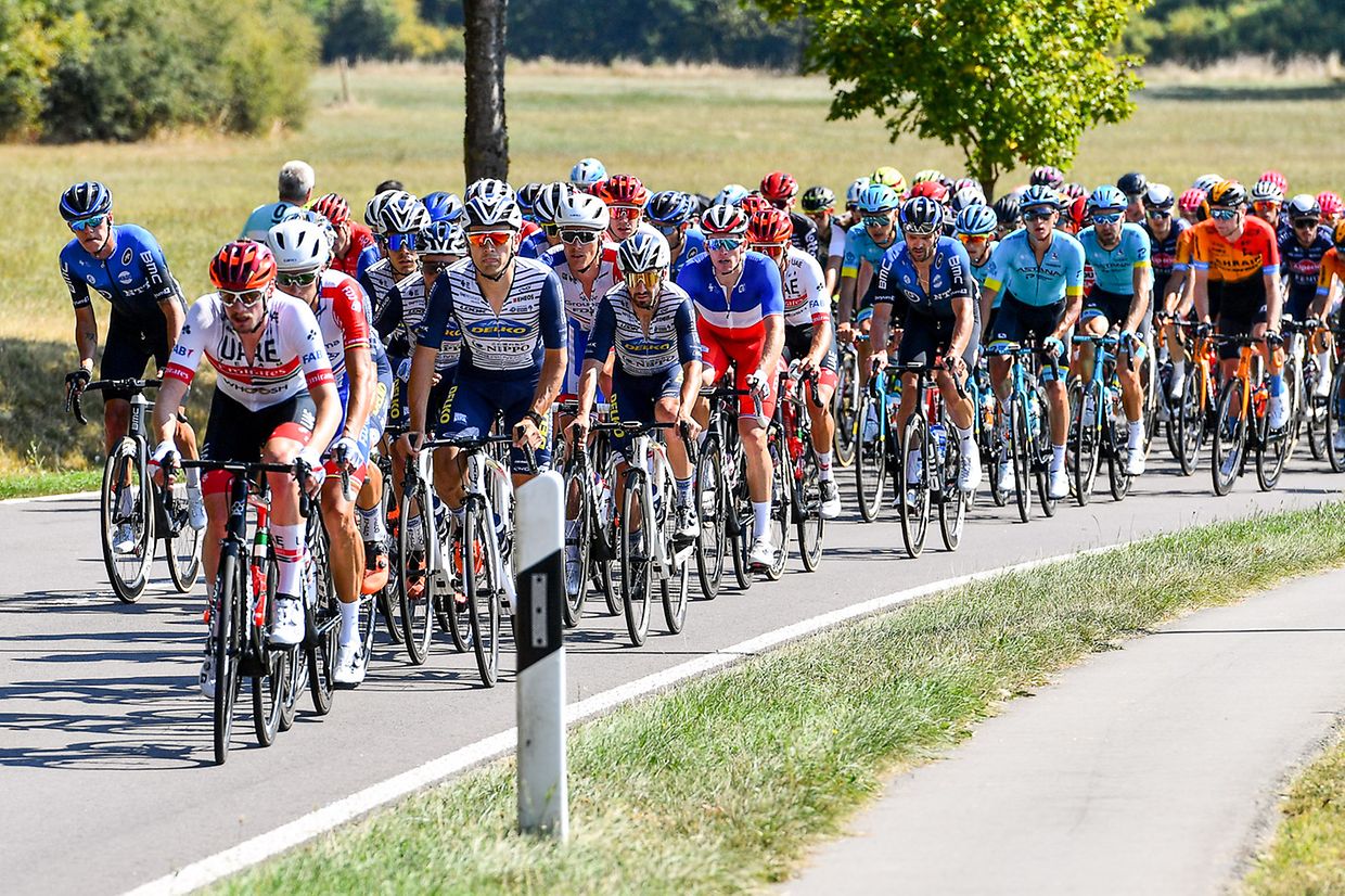 Das Fahrer zwischen Scheidgen und Consdorf .
