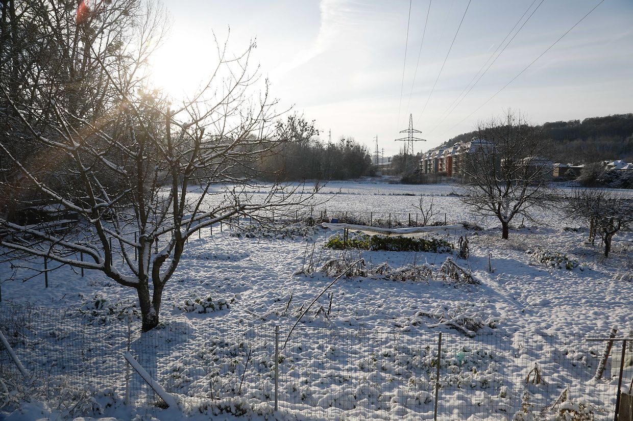Illustration, Schnee, Winter, Winterlandschaft, Foto: Anouk Antony/Luxemburger Wort