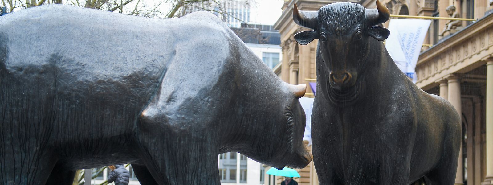 Bulle und Bär stehen als Bronzeskulpturen vor der Frankfurter Wertpapierbörse im Regen.