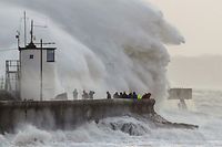 Waves in the Port of Wales this Friday.