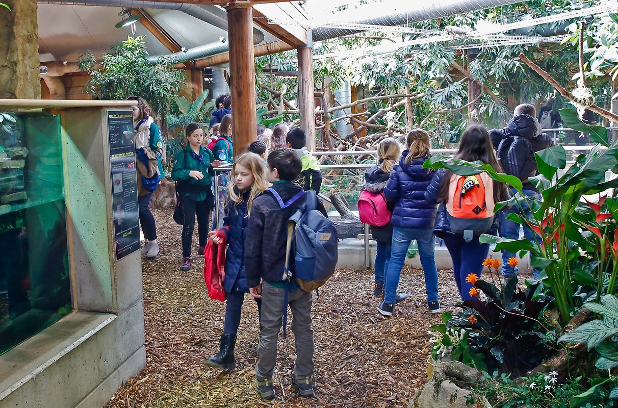 Erster Tag der Eröffnung / Foto: Lucien WOLFF