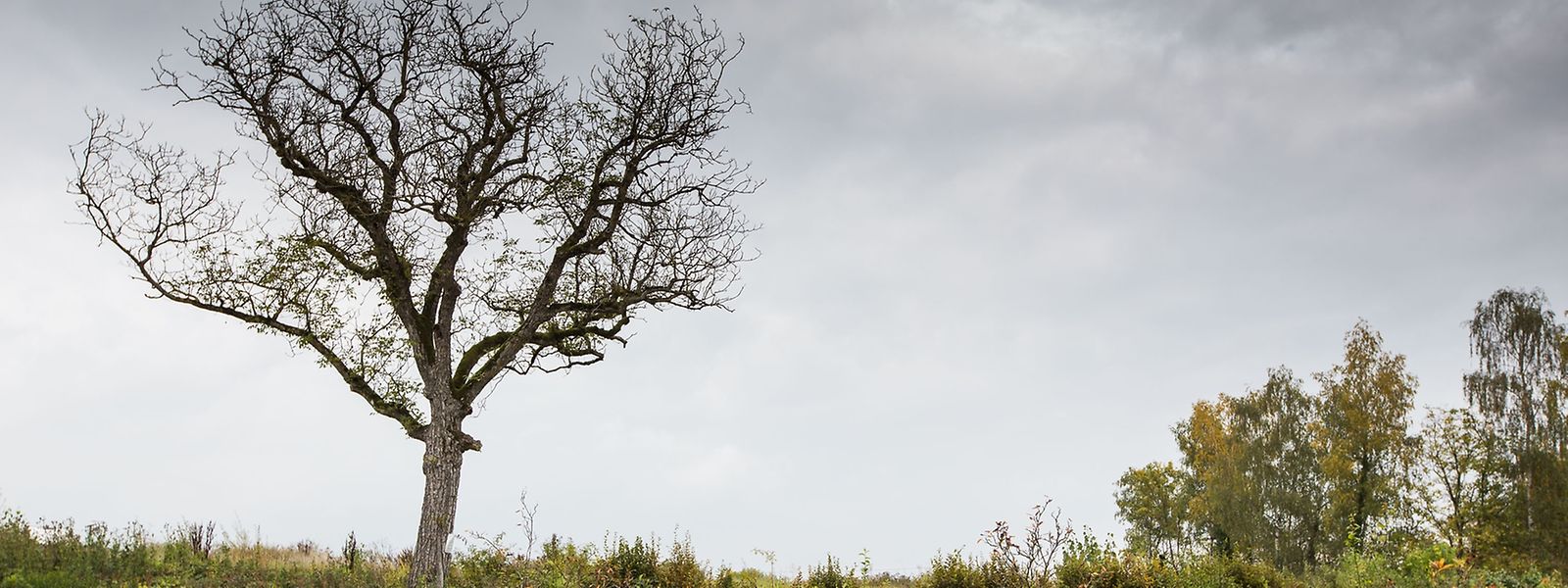 Das Haus von Camille K., in dem dieser am 1. November 2010 tot aufgefunden worden war, ist mittlerweile abgerissen.