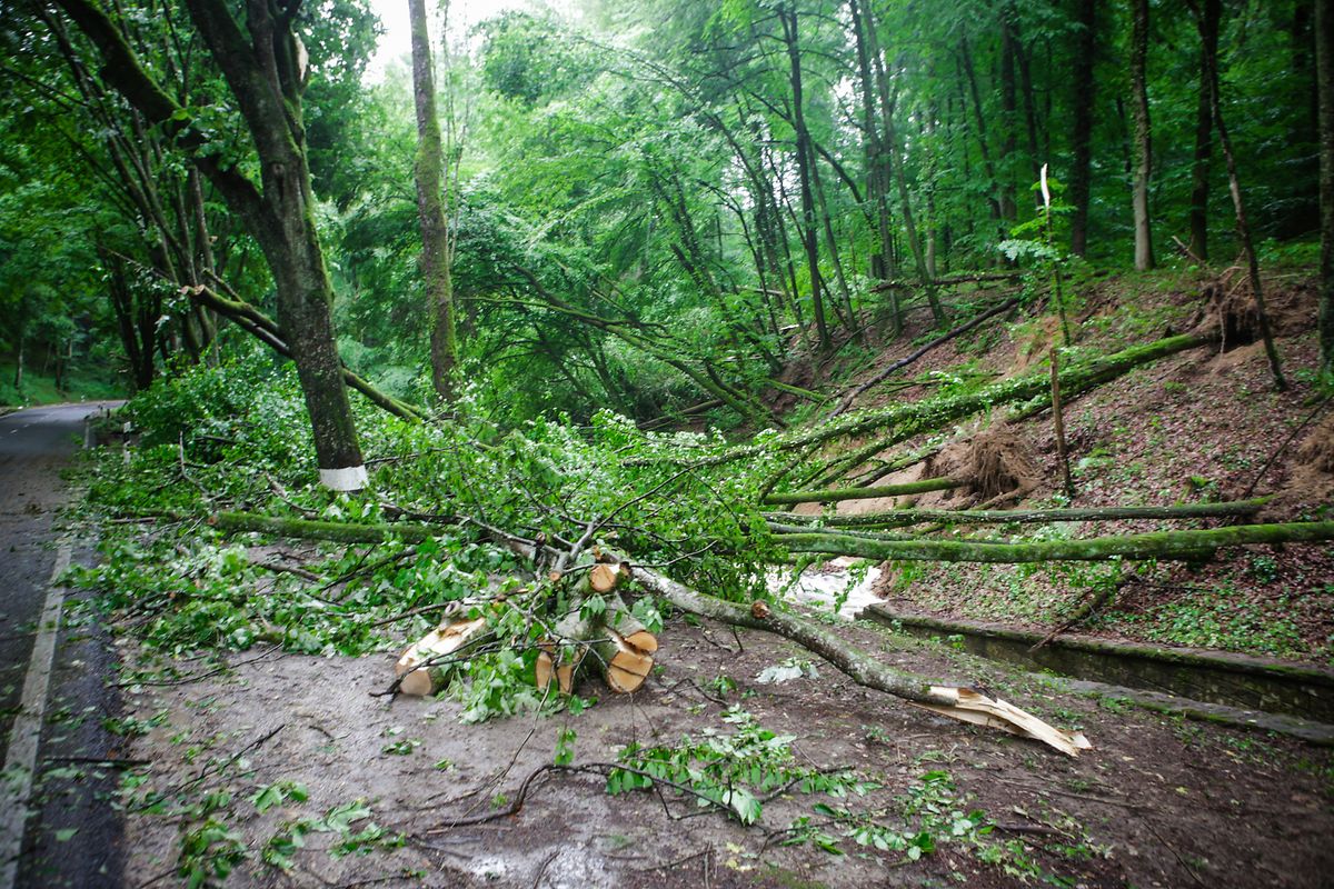 Das Müllerthal war am schwersten betroffen.