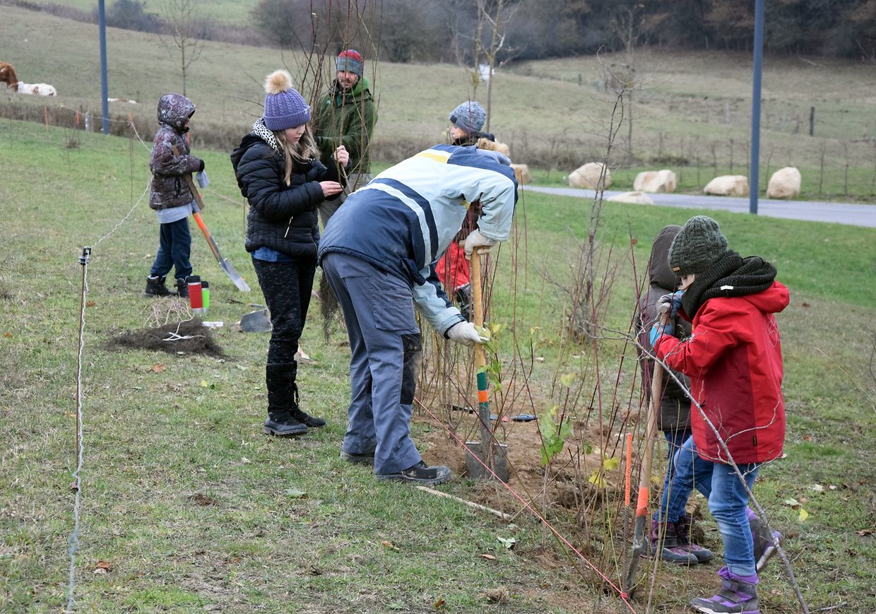 Dag vum Bam 2018 - Heck Hareler Schoul - Photo: Y. Krippel