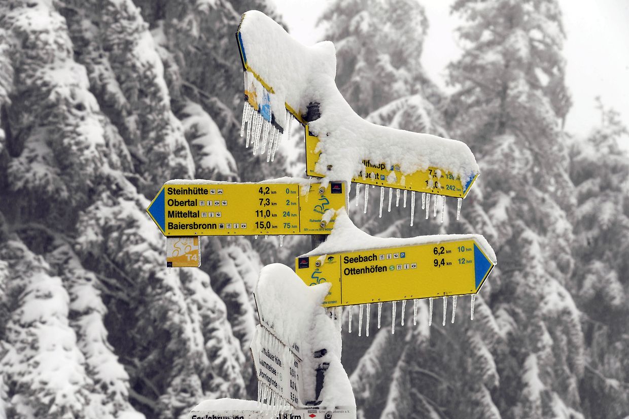 Ob in Baden-Würtemberg, dem Schwarzwald, in Bayern oder in Österreich - die Anwohner und Touristen mussten sich in viele Gebieten mit dem massiven Schneefall zurechtkommen.