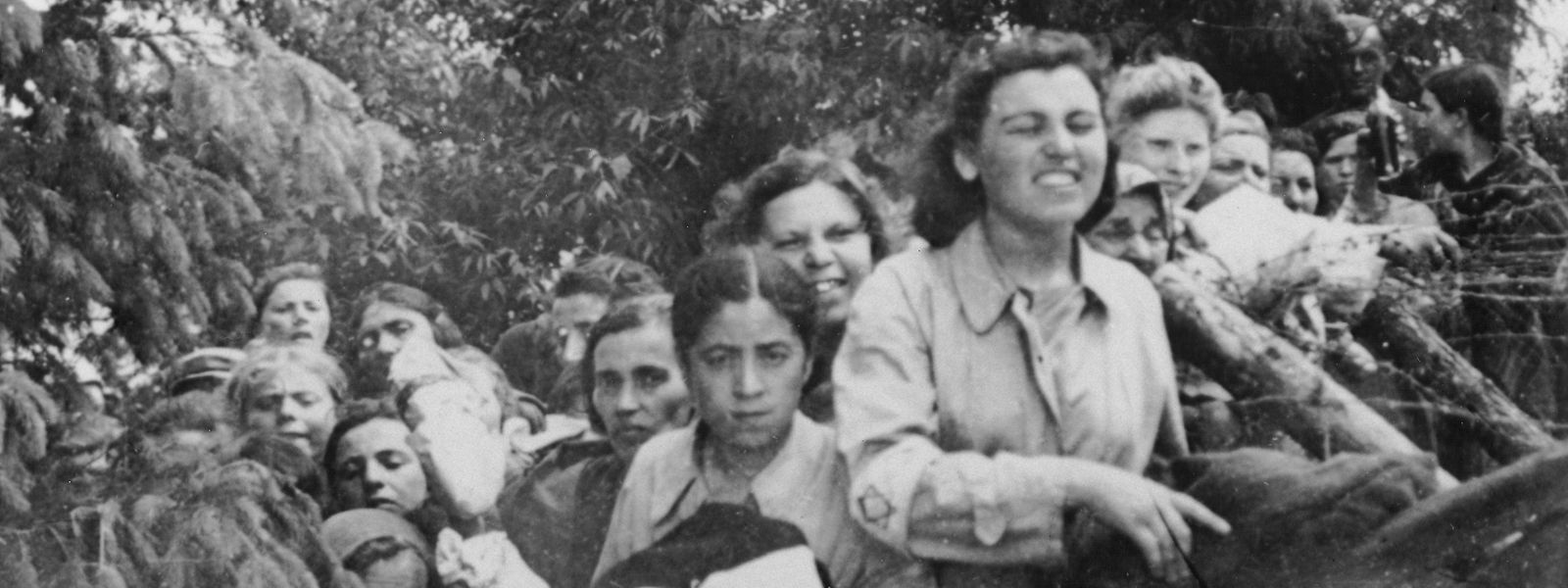 Am 17. August 1942 wurde von Einheiten des Reserve-Polizeibataillons 101, dem auch 14 Luxemburger angehörten, im polnischen Dorf Łomazy ein Massaker an der jüdischen Bevölkerung verübt. An einem Tag sind hier 1.700 Frauen, Kinder, Männer, Alte und Kranke erschossen worden. Auf dem Bild sieht man Frauen, die in den Wald zur Exekution getrieben werden.