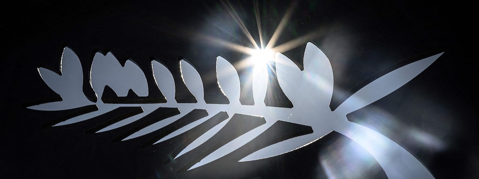 Blick auf das Logo der Goldenen Palme der Filmfestspiele in Cannes. 