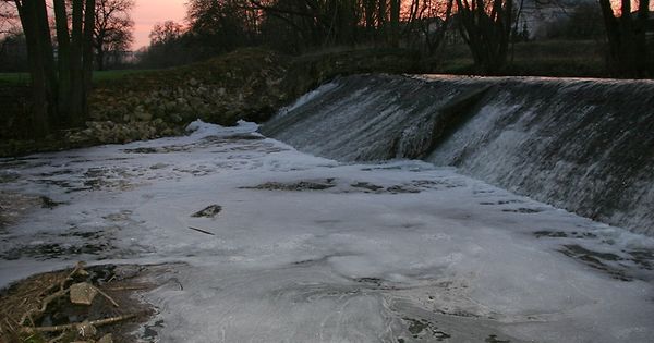 mywort Schaumbildung auf der Syr.