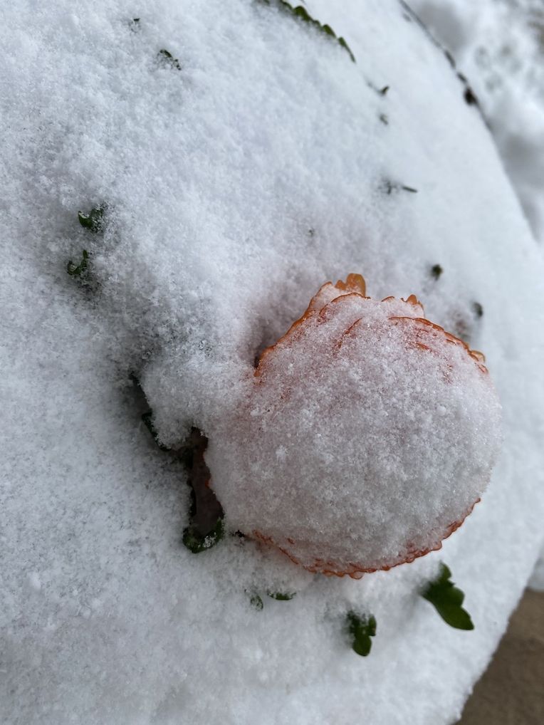 Schnee liegt am Dienstagmorgen über Weiswampach.