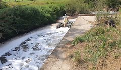 Die ohnehin stark belastete Korn wurde am 31. Juli 2019 durch Löschwasser arg strapaziert. Schuld war ein Überlaufbecken, das nicht wie vorgesehen funktionierte.