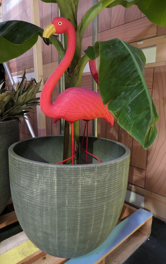 Das Trendtier bleibt 2019 wohl erhalten: der Flamingo.