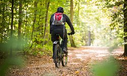 In der Gesundheitsstudie werden die Teilnehmer unter anderem gefragt, ob und wie viel Sport sie pro Woche treiben.