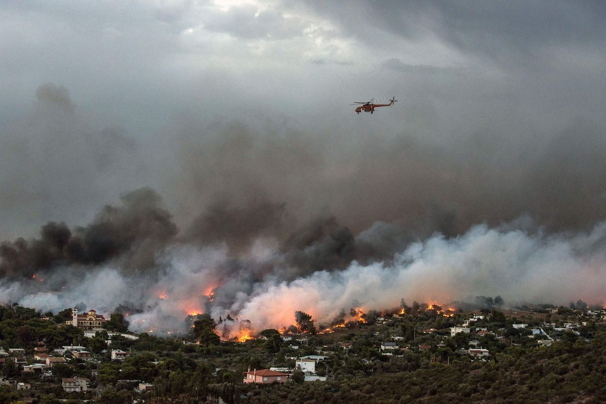 Die Waldbrände in Griechenland sind außer Kontrolle geraten.