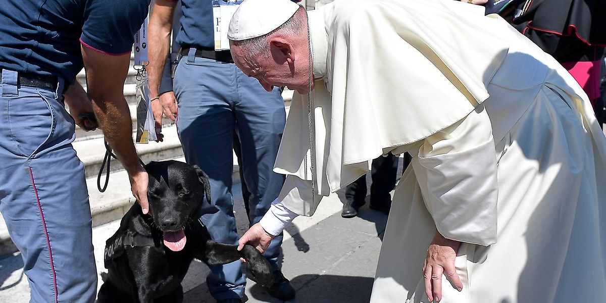 Streicheleinheiten vom Pontifex: Papst Franziskus mit Rettungshund Leo. 